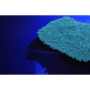 Γάντι πλυσίματος από μικροΐνες 